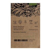 Rose des bois (Argyreia nervosa var. nervosa) graines