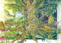 Arômates aimant le soleil (Bio) -  Coffret cadeau de semences